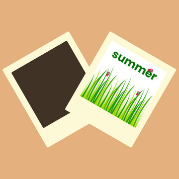 Photo card with grass and butterflies. Summer. Vector illustration.  Photo card
