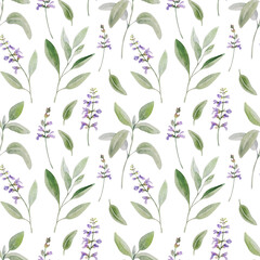 Fototapeta premium Watercolor herbal sage seamless pattern. Botanical realistic elements on white background
