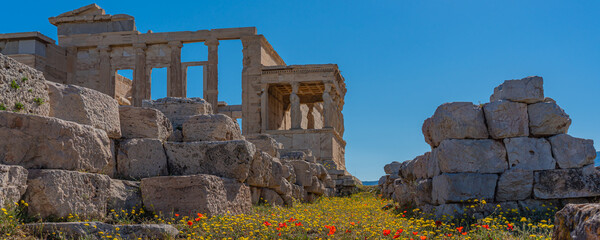 Pandroseion, the sanctuary dedicated to Pandrosus on the Acropolis of Athens, panorama with flowers
