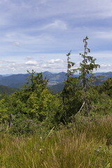 Summer Slovak Mountain Great Fatra, Velka Fatra, peaks Nova Hola (1361 m) and Zvolen (1403 m), views from them, Slovakia © Kajano