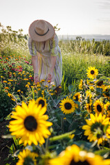 Woman florist standing in marigold flowers at summer garden. Blossom of marigold plants and sunflower in herb farm