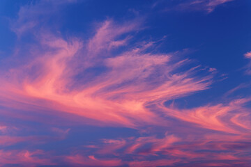 Fototapeta na wymiar Dramatic horsetail clouds at sunset in the sky