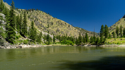 View upstream of the wild Salmon River in Idaho