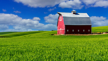 Classic red barn with green wheat field on a cloudy day © knowlesgallery