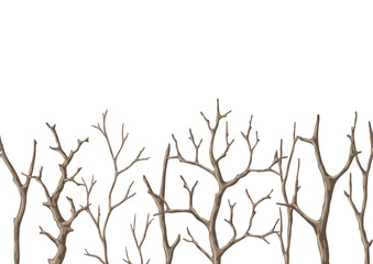 Seamless pattern with dry bare branches. Decorative natural twigs.
