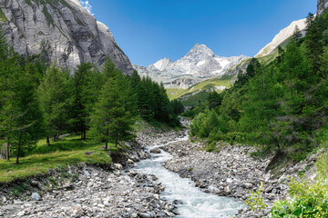 Fototapeta na wymiar Grossglockner at summer in Kals, Austrian Alps