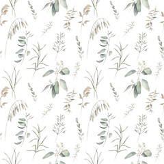 Watercolor  summer field herbs seamless pattern. Botanical nature print on white background