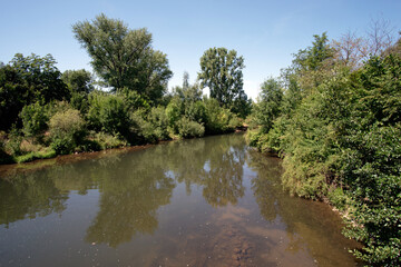 Fototapeta na wymiar River course with reflection of riparian woodland