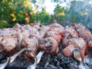 a close-up photo of a barbecue on skewers