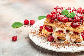 Berries Tiramisu Dessert with Raspberry and Mint. Traditional italian dessert on a light background