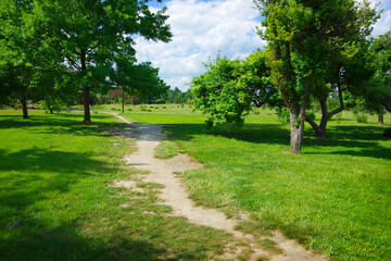 Path in spring park among green trees.
