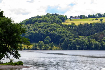 Wald am Rursee