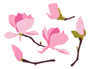 Set of blooming Japanese magnolia branches. Beautiful frame for thanking text, wedding inviting, web banner. Editable vector illustration - obrazy, fototapety, plakaty