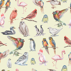 Obraz premium Birds watercolor illustration hand drawn background animals nature clipart different birds owl 