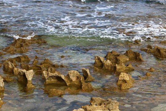 Rocky shore of the Mediterranean Sea in northern Israel. © shimon