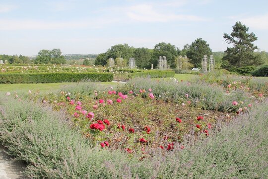 Původní názvy: rose garden in Lidice, Czech republic