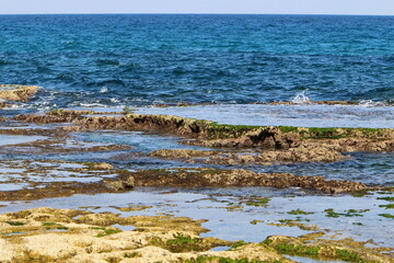 Rocky shore of the Mediterranean Sea in northern Israel.