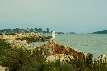 Fototapeta premium Waiting........
