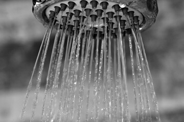 Detalle de los chorros de agua saliendo de una ducha, en blanco y negro