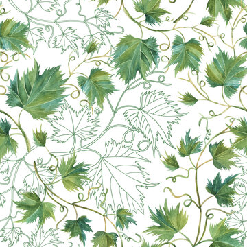 Seamless pattern of grape leaves in a watercolor painting style illustration on white background