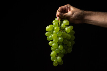 A hand holds white grapes on a black background. Grape sort. Delicious and healthy fruit