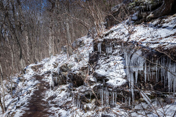 Cold Weather Hiking the Appalachian Trail in Georgia