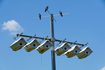 Row of hanging bird houses overlooking the blue sky