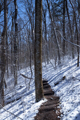 Cold Weather Hiking the Appalachian Trail in Georgia