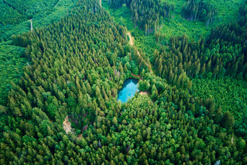 Blue lake in the middle of green forest, aerial view. Wild colorful lake in mountain park in...