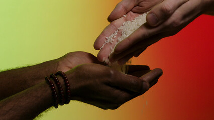 Hands of white man giving rice grains to another hands of afroamerican, isolated on bright...