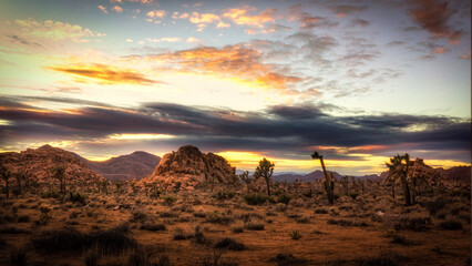 Desert Sunset, 2017