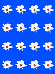 Abstract floral design