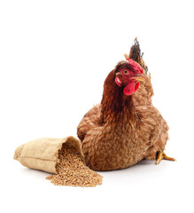 Brown chicken with grain.