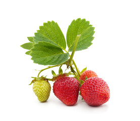 Ripe strawberry with leaves.