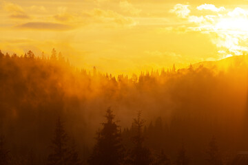 foggy evening landscape in Carpathian Mountains, Ukraine.