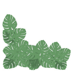 Colorful corner frame in trendy colors with exotics leaves monstera. Copyspace. Isolate. Background.