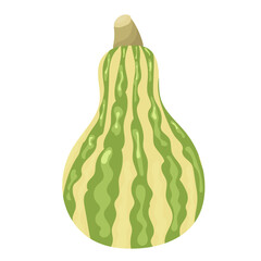 Naklejka premium pumpkin green in flat style, isolated, vector