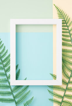 Rectangle frame with fern leaves on a pastel background. Nature, artistic minimal copy space.
