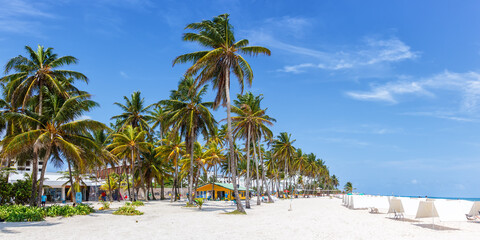 Playa Spratt Bight beach travel with palms vacation panorama sea on island San Andres in Colombia