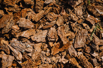 Background, texture of a pile of brown peeled bark. Photography of nature.