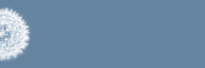 bright square dandelion banner square bright blue juicy summer background graphic content layout photo frame purple pantone