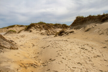 Fototapeta na wymiar sand dunes at the beach in the Outer Banks, North Carolina