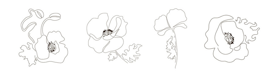 Illustration of a bellflower. Purple bellflower flowers in doodle style. Summer wildflower. Vector illustration, isolated on white background