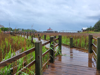 Boardwalk through the marsh with the Roanoke Marshes Lighthouse in the background