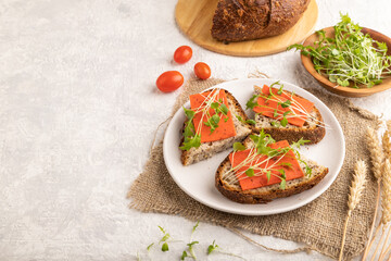 Grain bread sandwiches with red tomato cheese and microgreen on gray, side view, copy space.