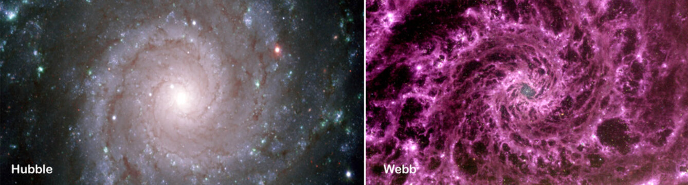 Hubble and Webb space telescopes photos comparisons visual gains. M74, NGC 628, constellation Pisces. Elements of this picture furnished by NASA