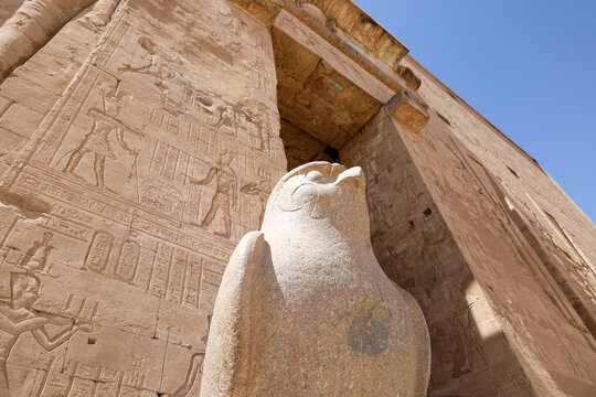 Edfu Falcon