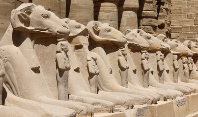 Obraz premium Karnak Temple Ram Sphinx