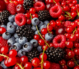 berries