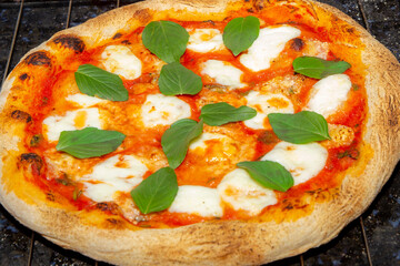 Traditional Italian Pizza Napolitana Marguerita in selective focus and fine details